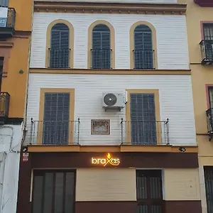 Loft Céntrico Sevilla